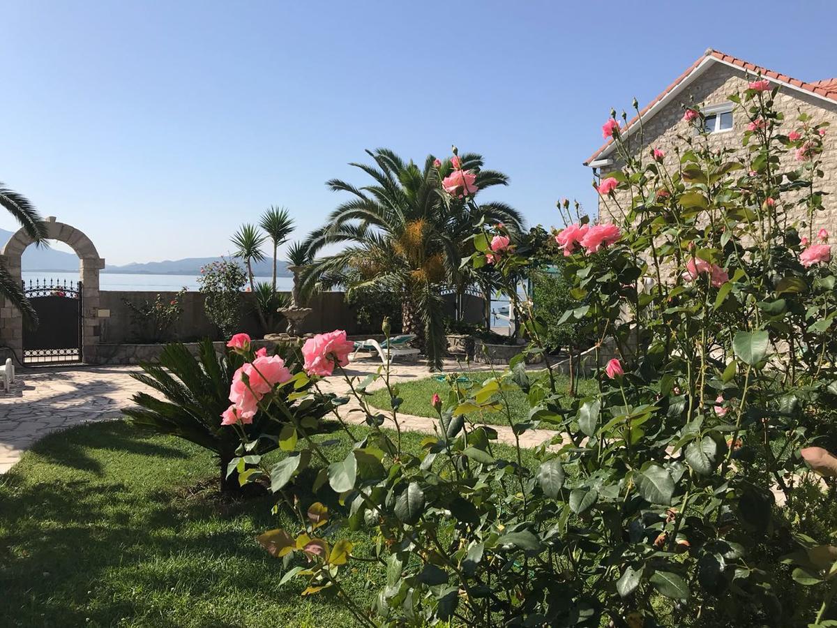 Apartments Apple Cat Montenegro Ko Bijela Eksteriør billede